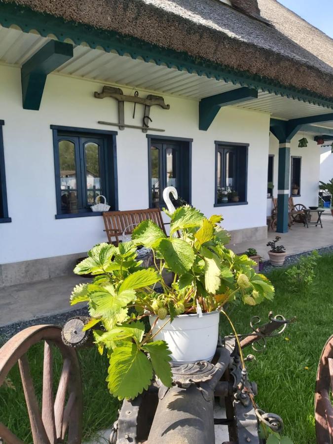 Agropensiunea Beluga Gorgova Екстериор снимка