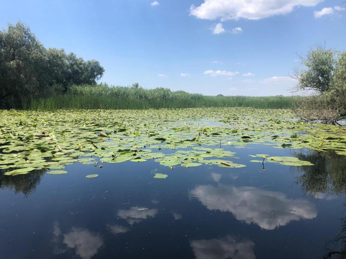 Agropensiunea Beluga Gorgova Екстериор снимка